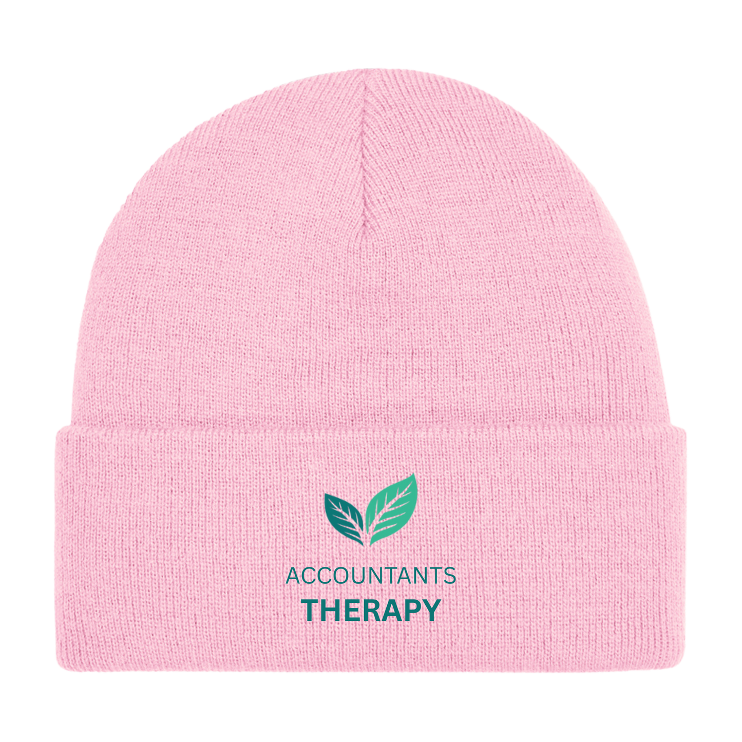 Accountants Therapy Cuffed Beanie BB45